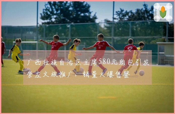 广西壮族自治区主席580元购包引发崇左文旅推广，销量火爆售罄