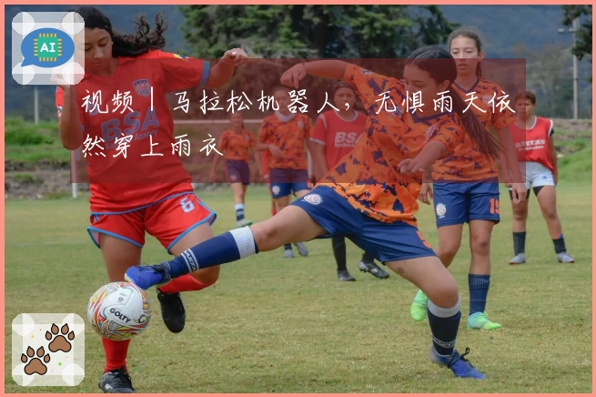 视频｜马拉松机器人，无惧雨天依然穿上雨衣