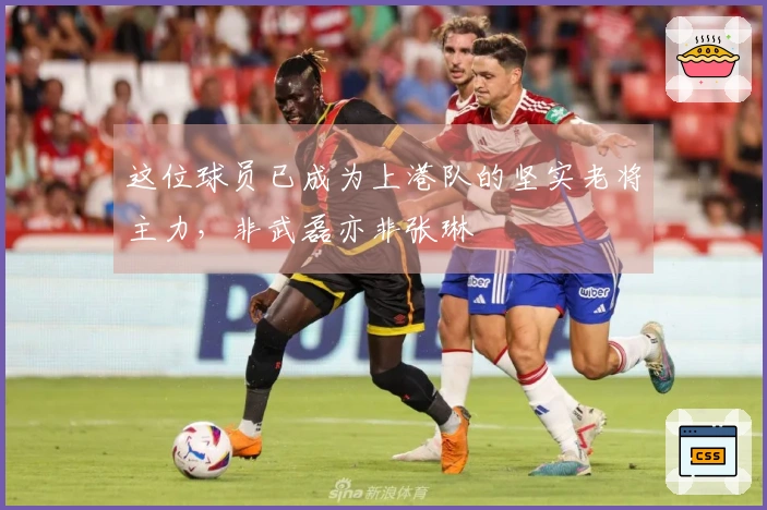 这位球员已成为上港队的坚实老将主力，非武磊亦非张琳芃
